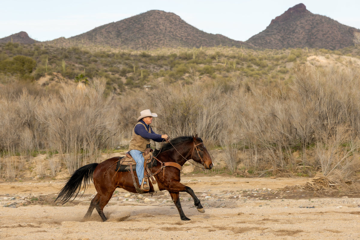 JUSTIN SILVER BELLY 5X WOOL
